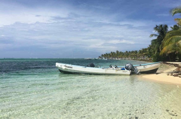 Praias de areia branca Praias de areia branca - Half Moon Caye, em Belize