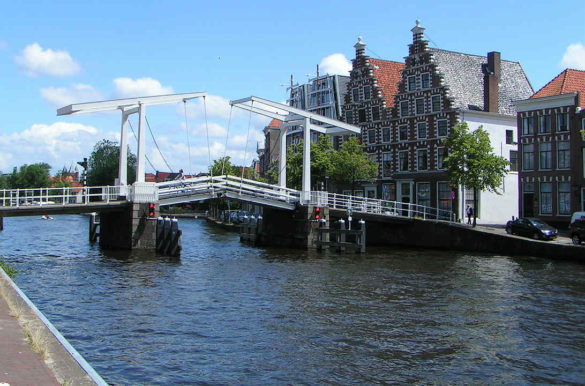 Foto: FrankMagdelyns1/Pixabay