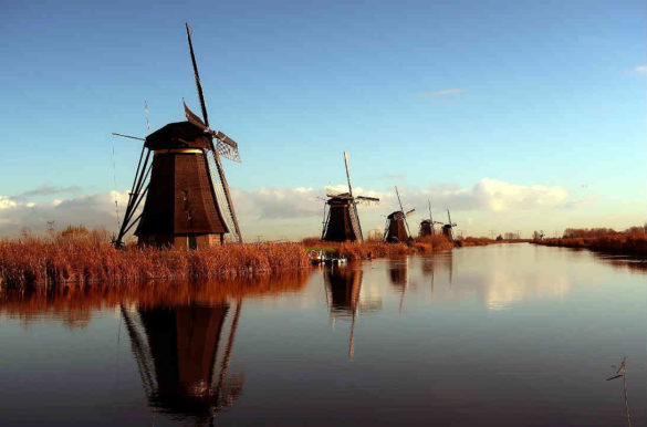 Foto: Ellen26/Pixabay