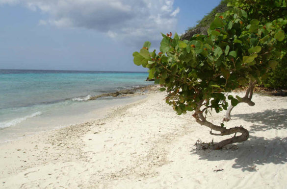 Praias de areia branca Praias de areia branca - Portomari, em Curaçao