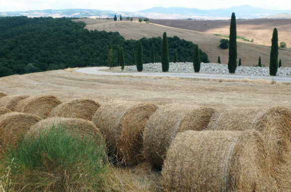 Melhores cidades da Toscana Melhores cidades da Toscana