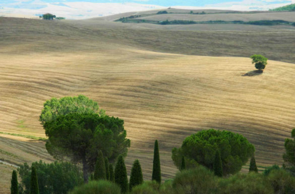 Melhores cidades da Toscana Melhores cidades da Toscana