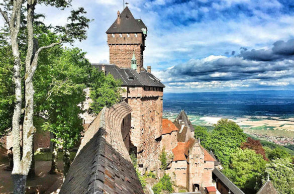 Foto: Marlene Bitzer/Pixabay