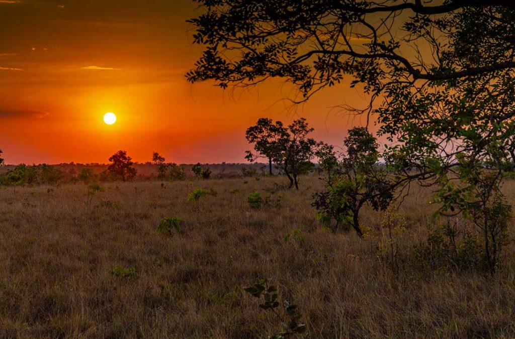 Entardecer no cerrado, no Jalapão (TO), Brasil