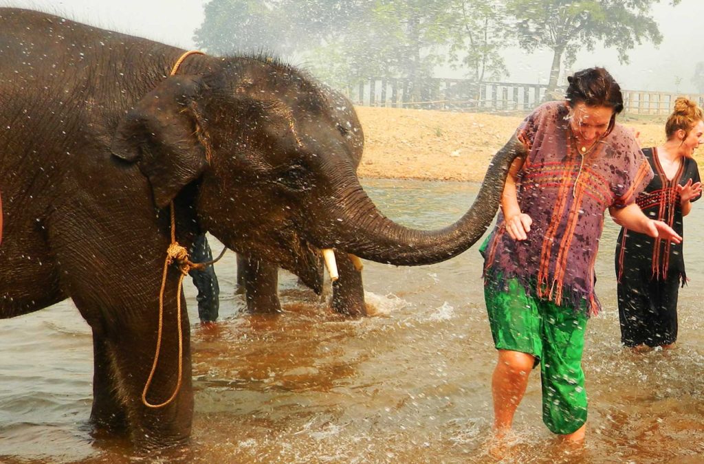 Turistas se divertem tomando banho de rio com elefantes em Chiang Mai
