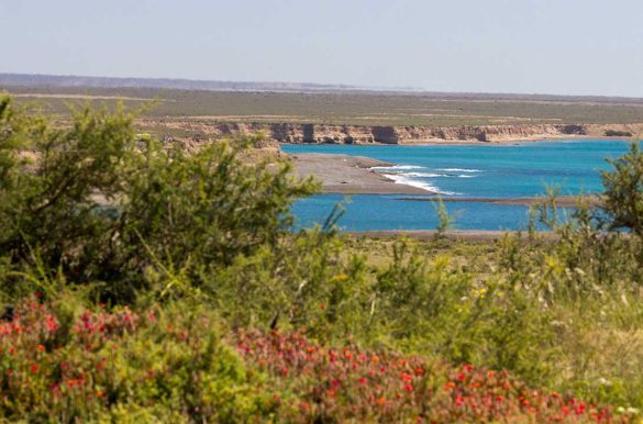 Foto: Chris Durst/Flicr