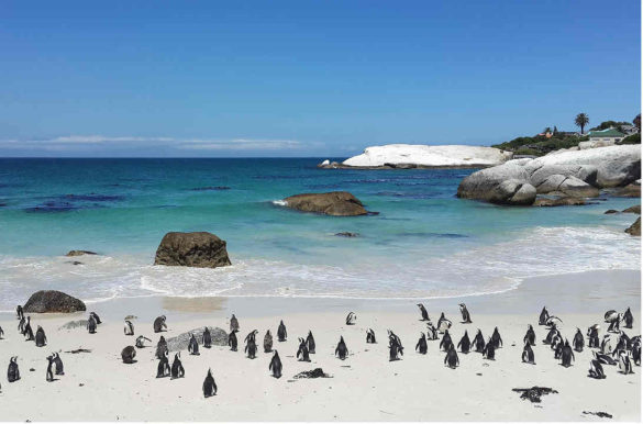 Foto: PaulNicolsonZA/Pixabay