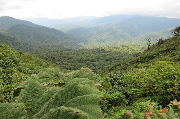 Foto: JanBartel/Pixabay