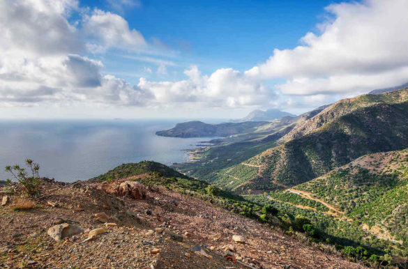 Foto: Albrecht Fietz/Pixabay