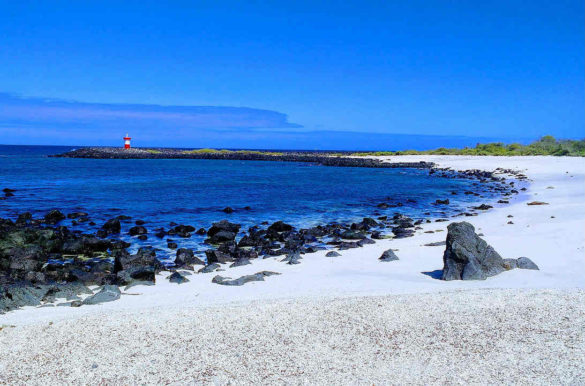 Foto: Valeria Cahuasquí/Pixabay