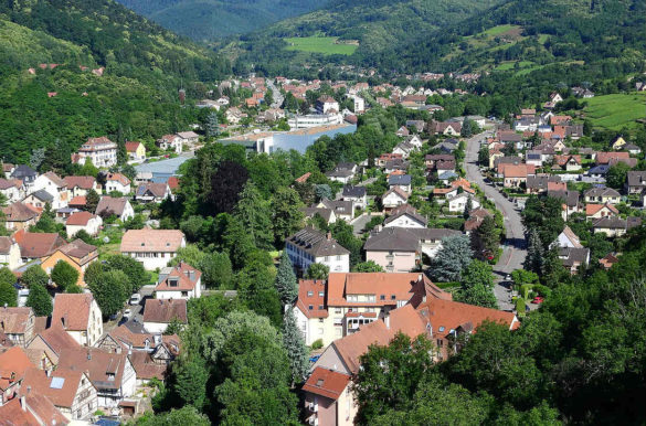 Foto: Marketa Machova/Pixabay