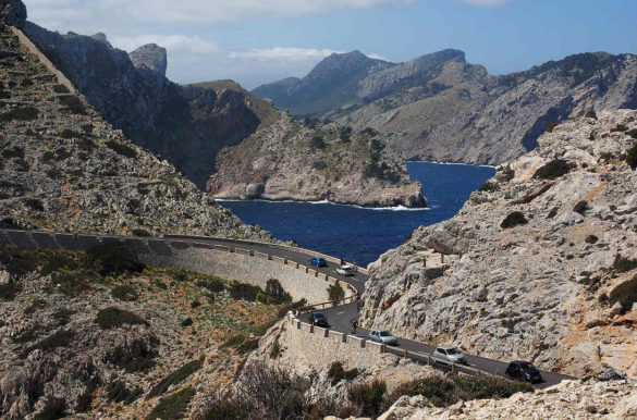 Foto: Hans Braxmeier/Pixabay