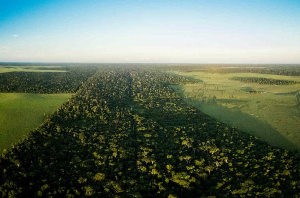 Foto: Márcio Filho/MTUR