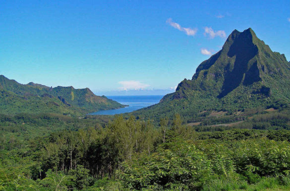 Foto: Arvid Olson/Pixabay