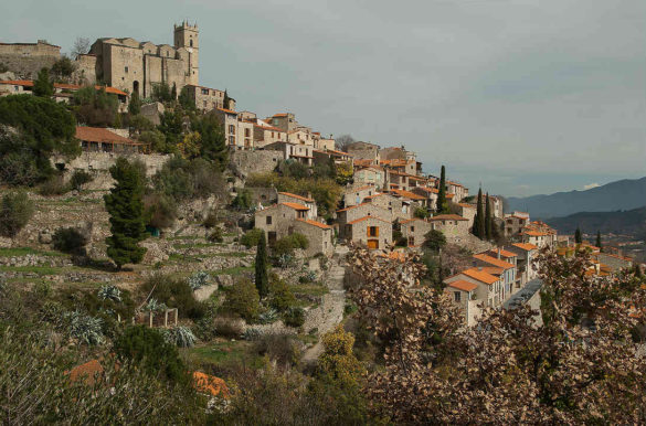 Foto: Jacqueline Macou/Pixabay