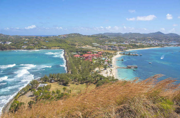 Foto: mimi_s/Pixabay