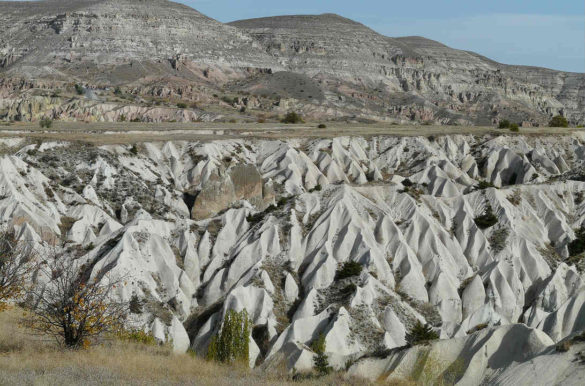 Foto: Hans Braxmeier/Pixabay