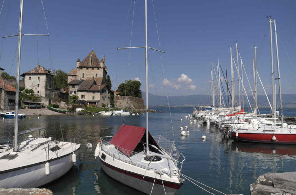 Foto: heuriskon/Paixabay