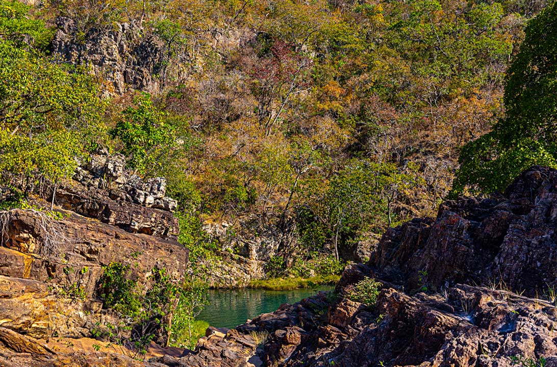 Paisagem colorida ao longo das trilhas do complexo de Cachoeiras dos Macaquinhos