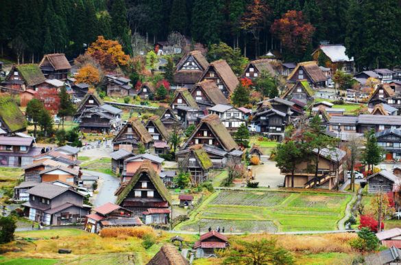 Foto: Ellen Chan/Pixabay