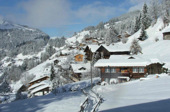 Foto: BrianBollen/Pixabay