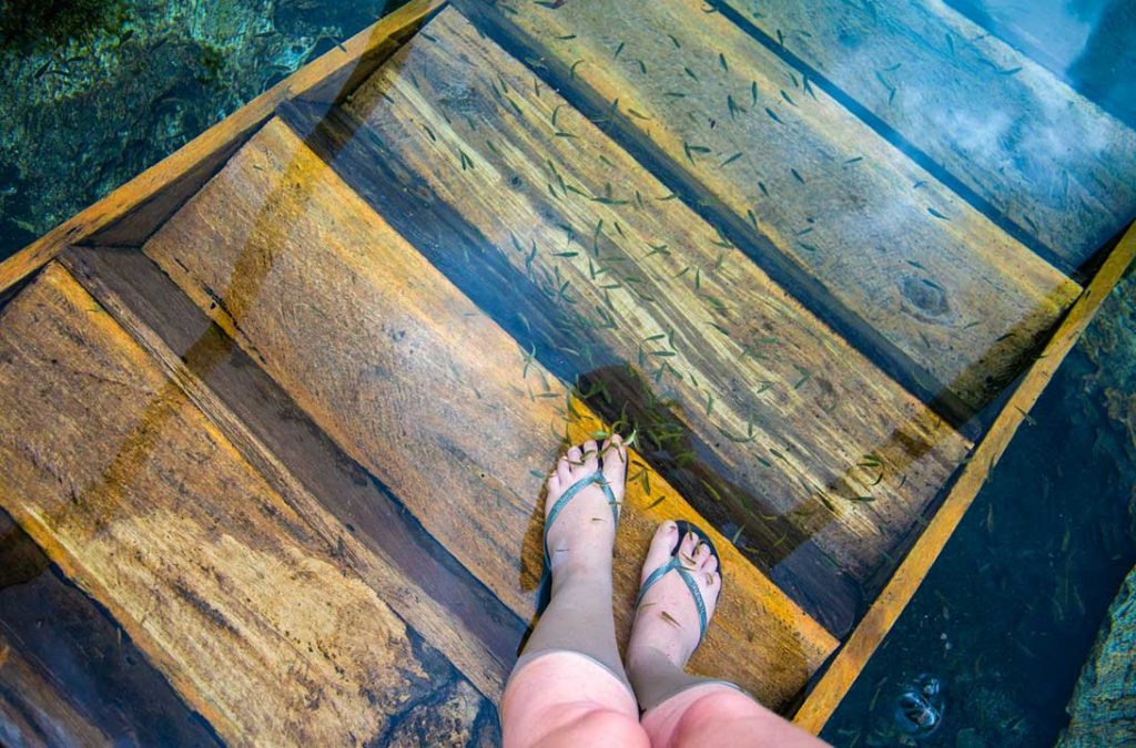 Peixes mordem pé de turista na Lagoa do Japonês