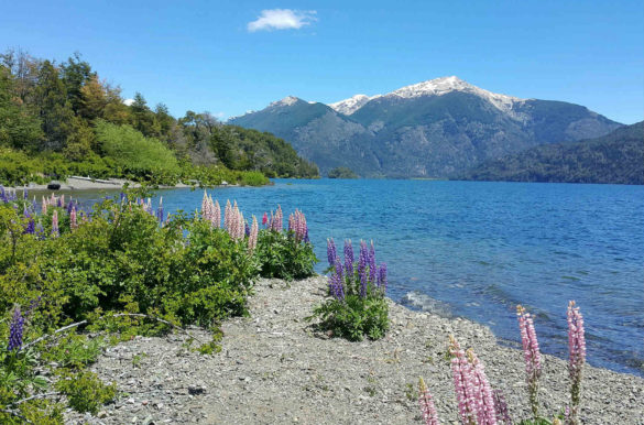 Foto: Linda De Volder/Flickr