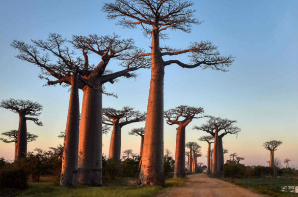 Foto: Rod Waddington/Flick