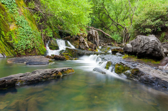 Foto: Santiago Antonio Castro/Flickr