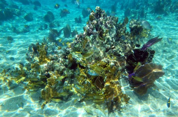 Foto: Ticiana Giehl/Escolha Viajar