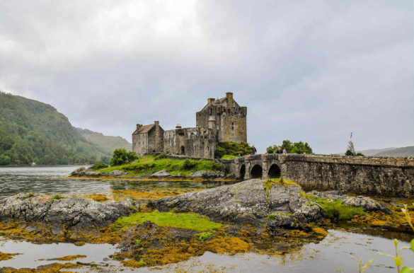 Foto: Kolibri5/Pixabay