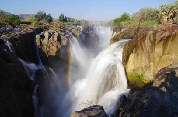 Foto: Borf the dog/Flickr