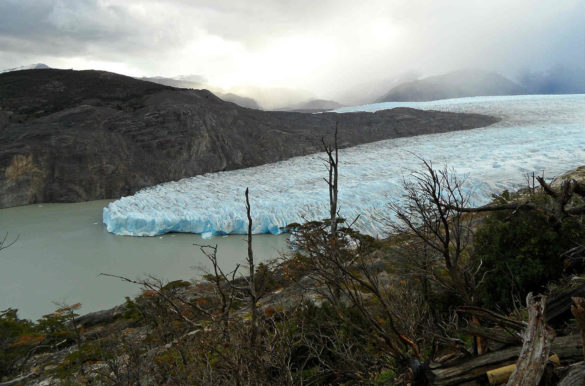 Foto: Katrin Schultz/Pixabay