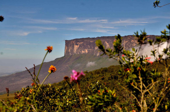 Foto: Andre Zumak/Flickr