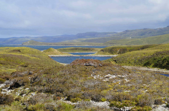 Foto: Efraim Stochter/Pixabay