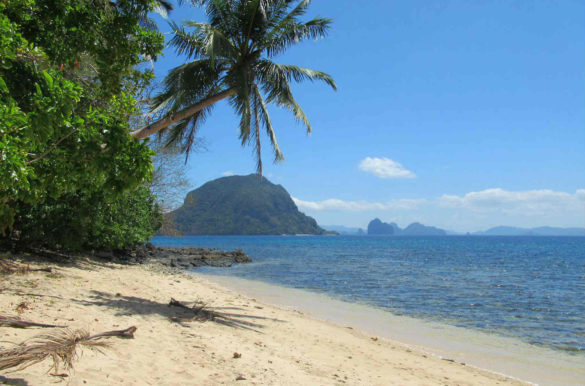 Foto: David Stanley/Flickr