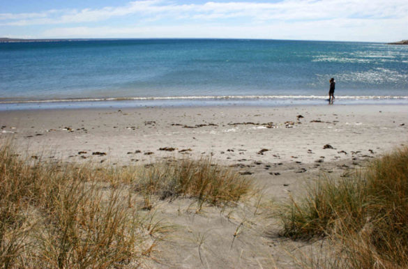 Foto: Christian OStrosky/Flickr