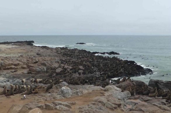 Foto: Ian Cochrane/Flickr