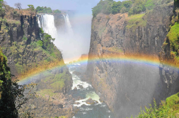 Foto: Leon Basson/Pixabay