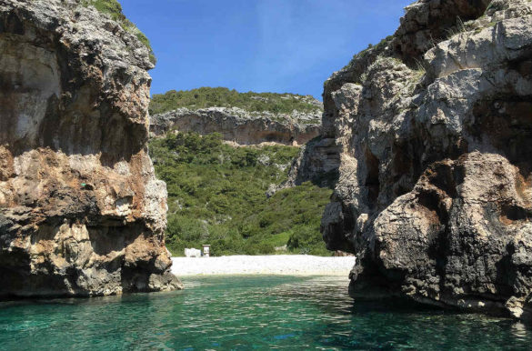 Foto: marina_p/Pixabay