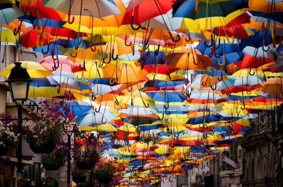 Foto: Celso Claro/Pixabay