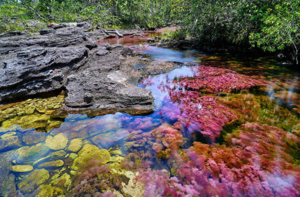 Foto: Pedro Szekely/Flickr