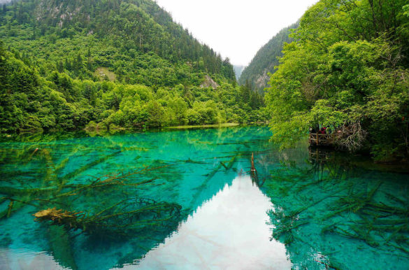 Foto: msz010dzeta/Pixabay