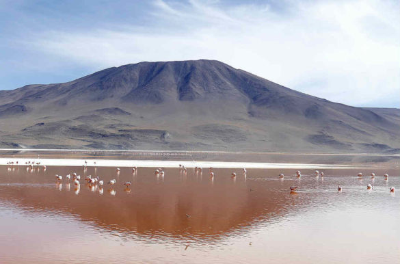 Foto: Kaniri/Pixabay