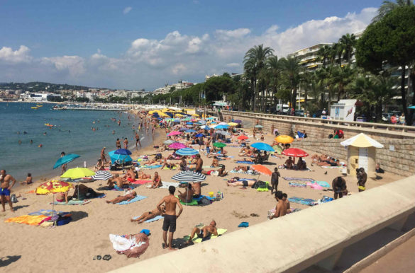 Foto: David Jones/Flickr