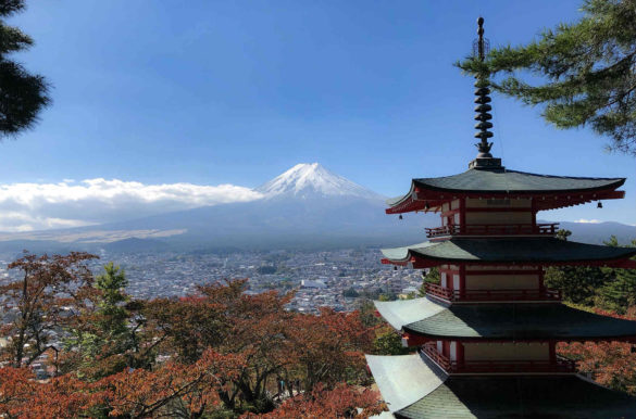 Foto: Ben Thai/Pixabay