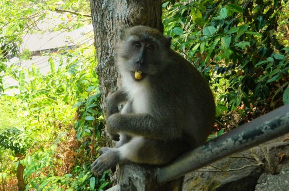 Foto: Ticiana Giehl/Escolha Viajar