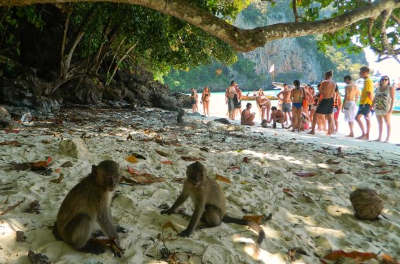 Foto: Ticiana Giehl/Escolha Viajar