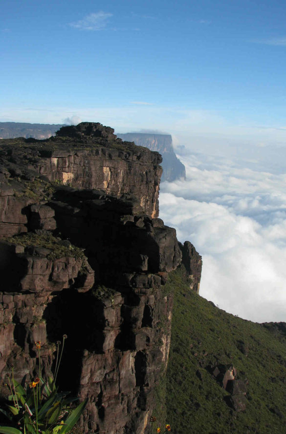 Foto: Juan Manuel Pérez/Pixabay