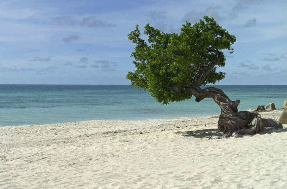 Foto: Serge Melki/Flickr